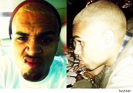 justin bieber dyed his hair blonde. 2010 Chris Brown has dyed his hair did justin bieber dyed his hair blonde.